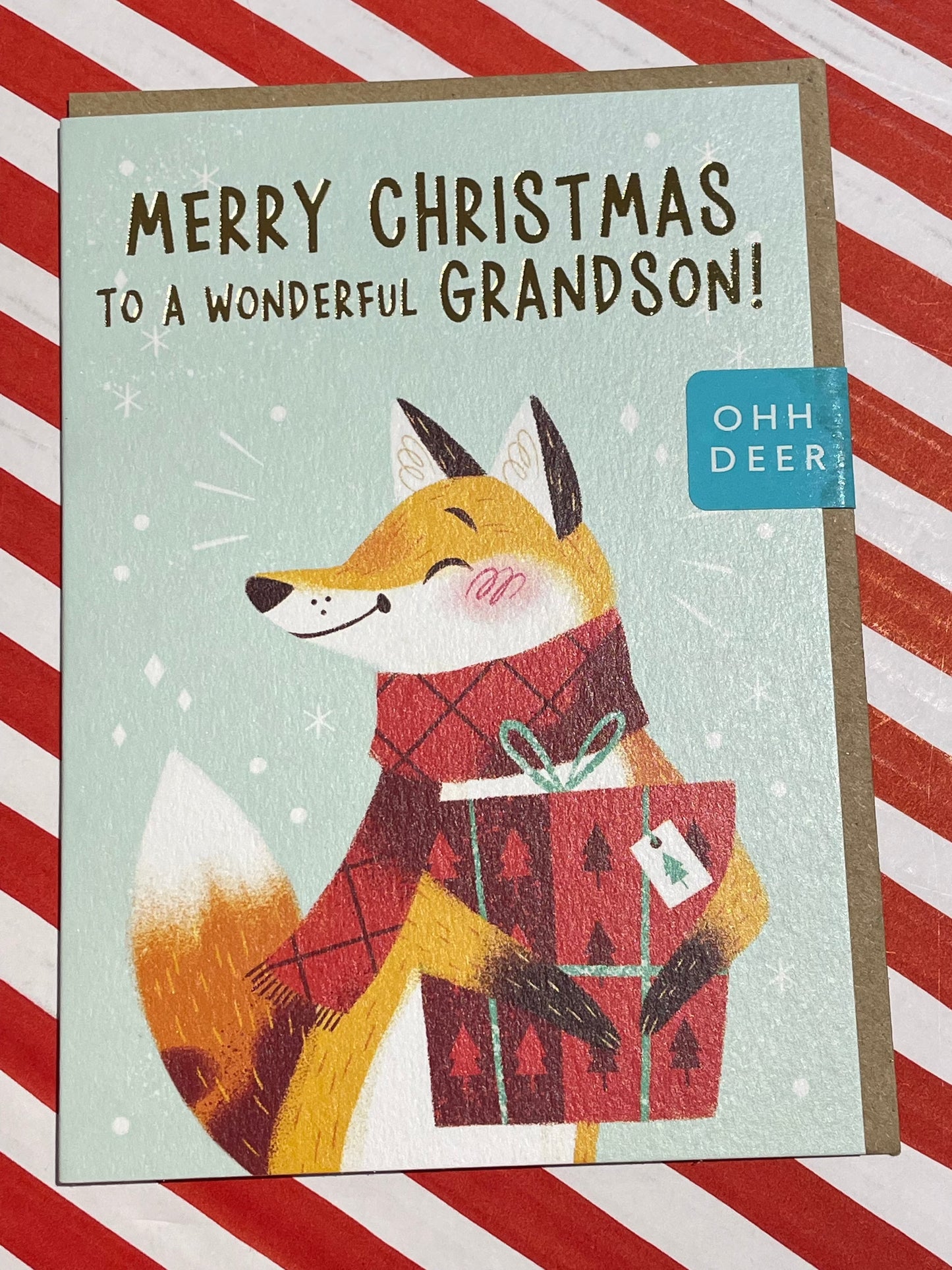 Grandson Fox 🦊 Christmas Card