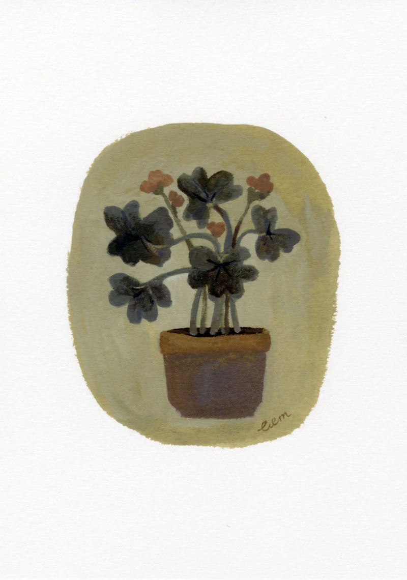 Potted Plant A5 Print