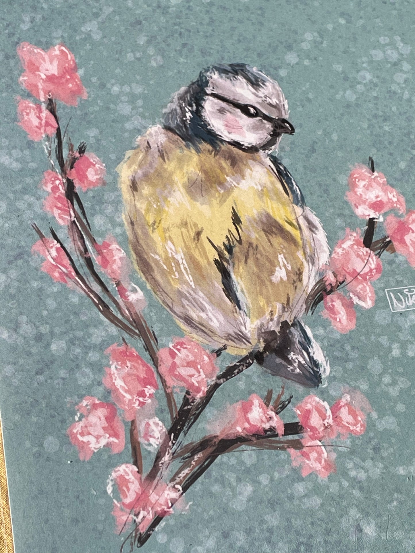 Blue Tit Blossom Print