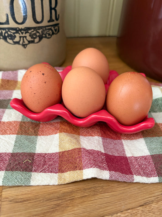 Ceramic wavy egg holder