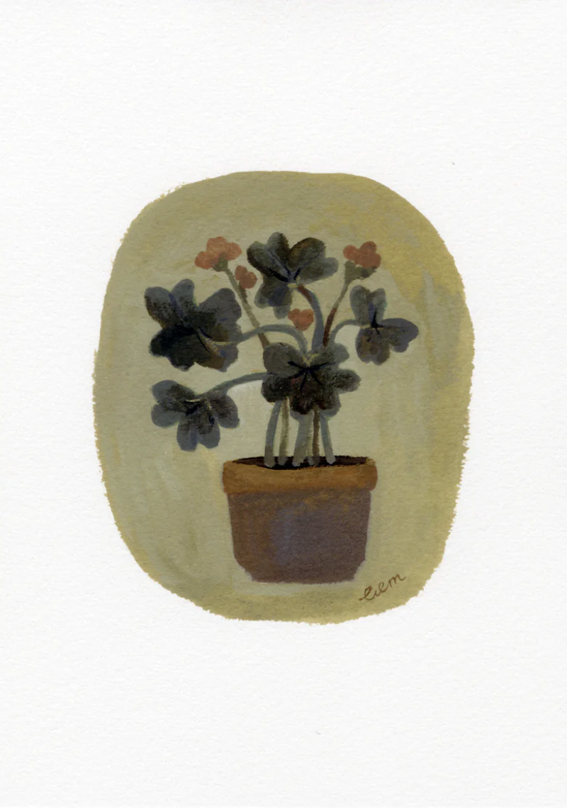 Giclee Pelargonium Art Print