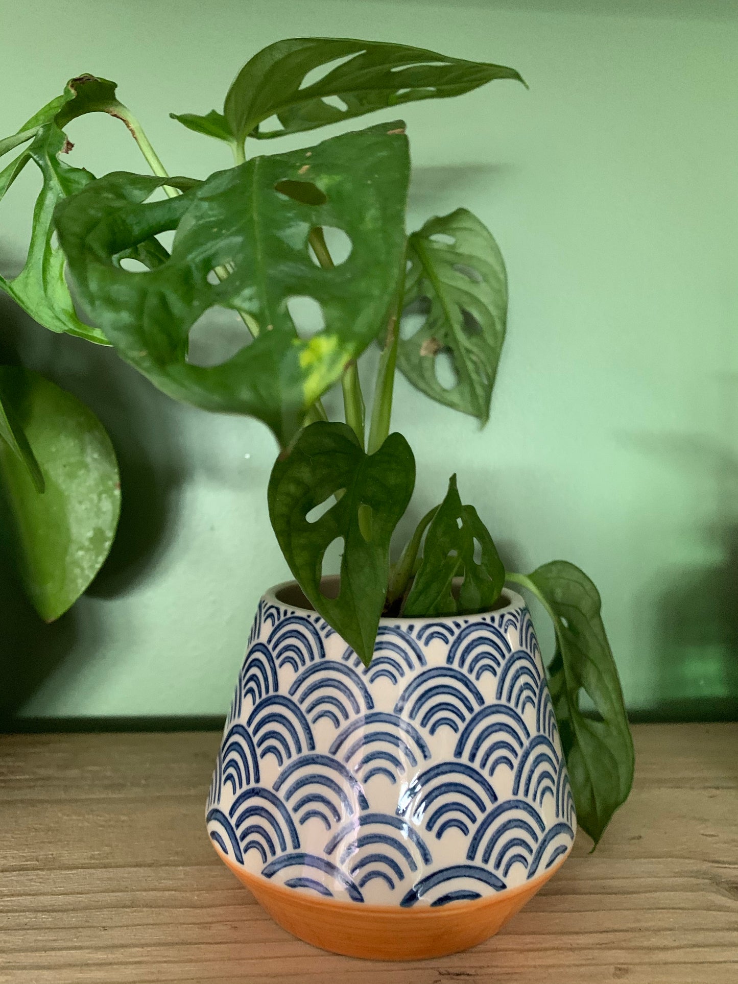 Small  Blue Wave planter